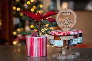 Vauban Hotel Briançon Serre Chevalier - Room Types and Features