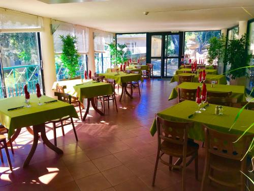 VTF Clairefont - Guest Reviews and Experiences