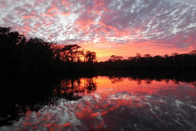 Waccamaw River Nature and Wildlife Tour - Tour Pricing and Cancellation Policy