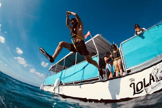 Waikiki Snorkel Tour - Inclusions and Accessibility