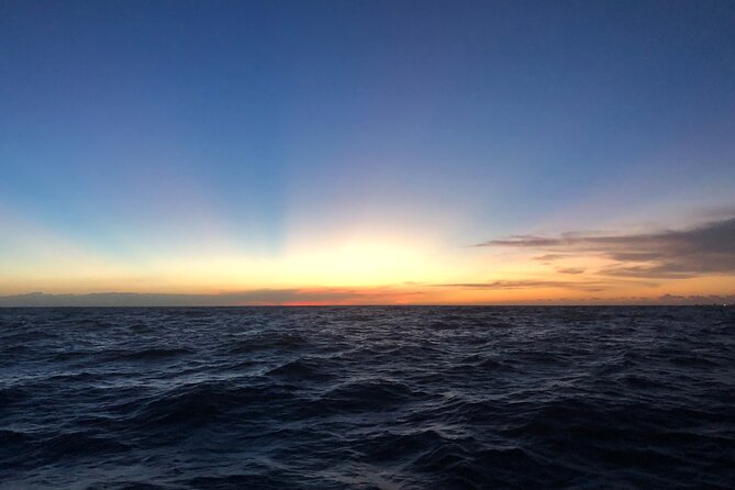 Waikiki Sunset Boat Cruise - Transportation Options to Kewalo Basin