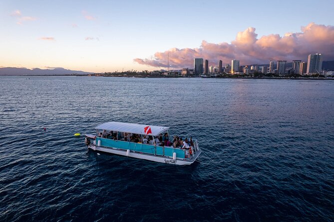 Waikiki Whale Watching Cruise - Customer Reviews and Ratings