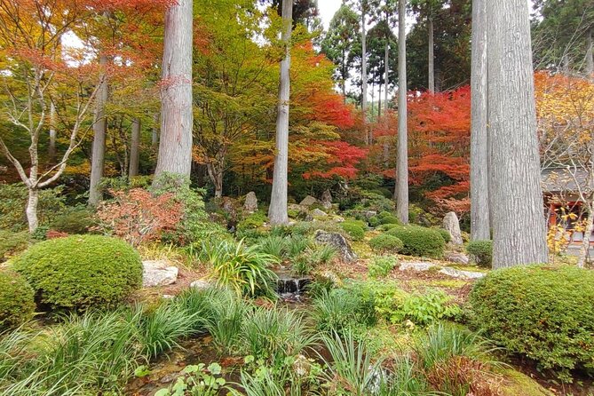 Walking Tour in Ohara Discover the Tranquil Beauty of Kyoto - Experiencing Traditional Japanese Cuisine