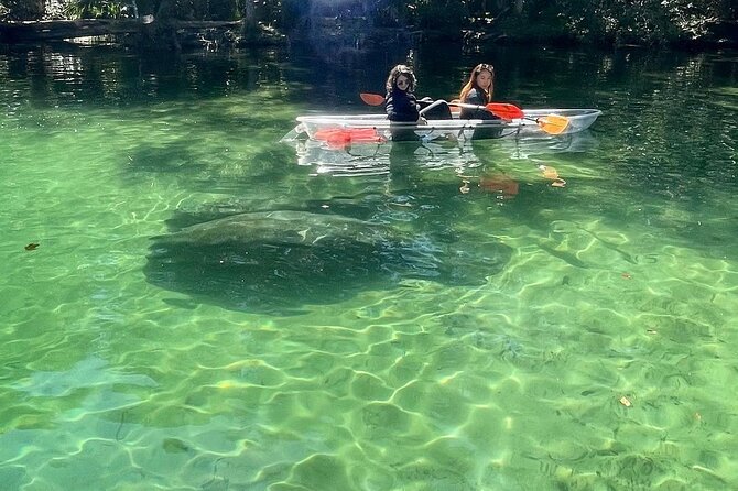 Weeki Wachee Clear Kayak Ecotours Manatee Season - November 14th-March 31st - Guest Experiences and Feedback