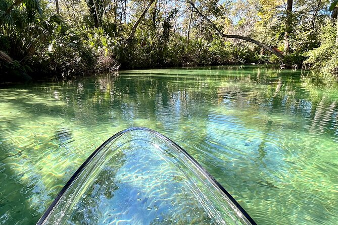 Weeki Wachee Clear Paddle Board Ecotours - Meeting Point and Arrival Details