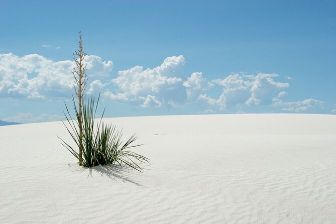 White Sands National Park Audio Tour Guide - Accessibility for All Visitors