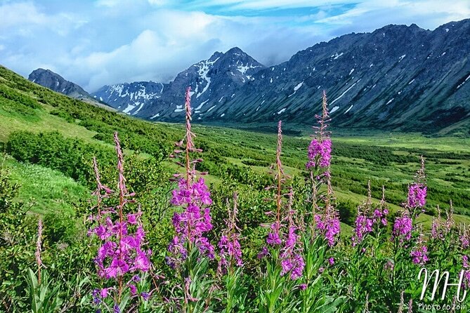 Whittier to Anchorage Full Day Transit Tour From the Port - Accessibility Features