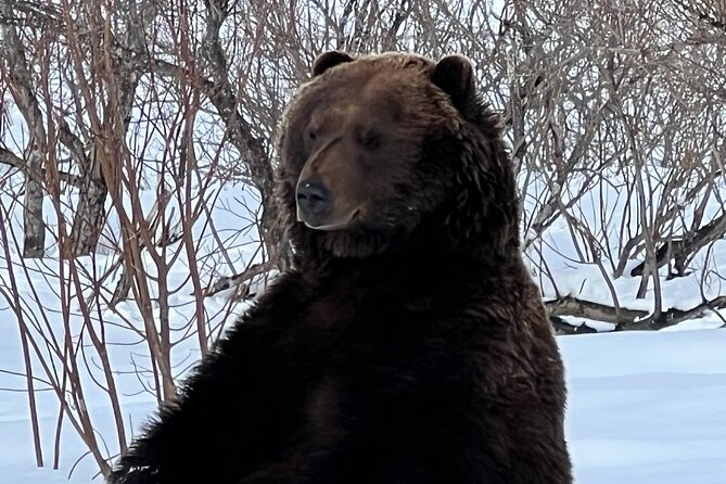 Wildlife Conservation Center and Portage Glacier Lake Viewing - Tour Features and Inclusions