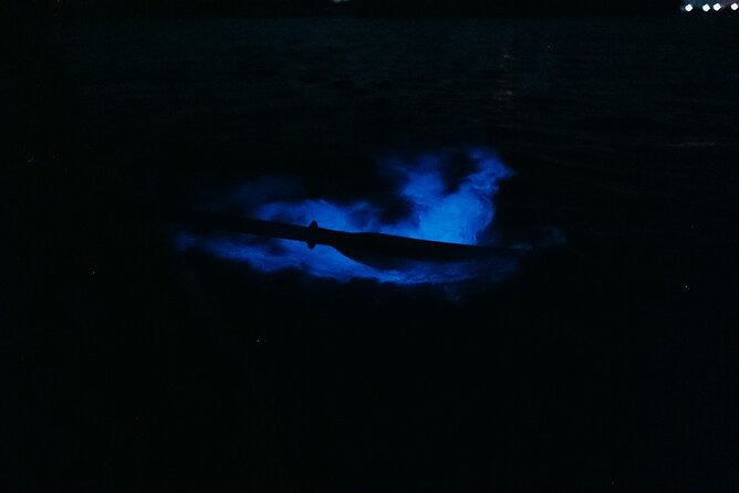 Wildlife Refuge Bioluminescent Kayak or Paddleboard Tour! - Accessibility Features
