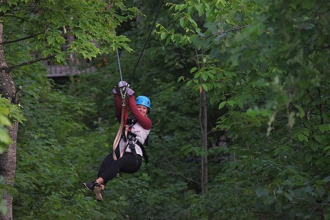 Wildman Zip Line Tour - Safety First: What You Need to Know