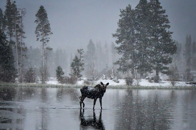 Wildside 4X4s Winter Wonderland Sledding Tour - Meeting Point and Pickup Details
