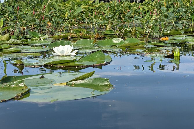 Wood & Wetlands River Trip - Pricing and Booking Information