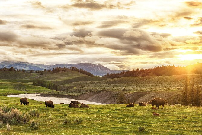 Yellowstone Private Full Day Tour - Tour Schedule