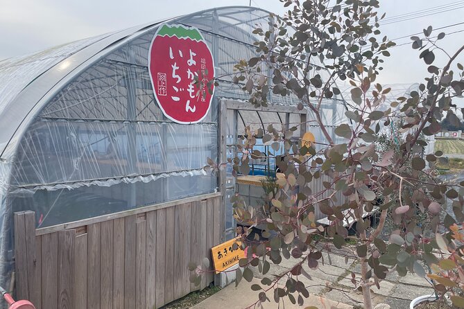 YokaBus 2 Hour Strawberry Feast Healthy Lunch Sakura Dyeing Tour - Meeting and Pickup