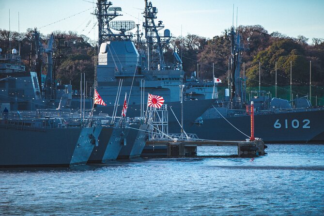Yokosuka Military Port and Navy Related Sites With a Local Guide - Accessibility and Requirements