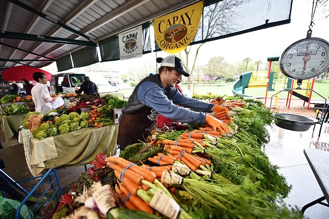 Yolo County Explorer: Culinary & Cultural Audio Tour - Tour Flexibility