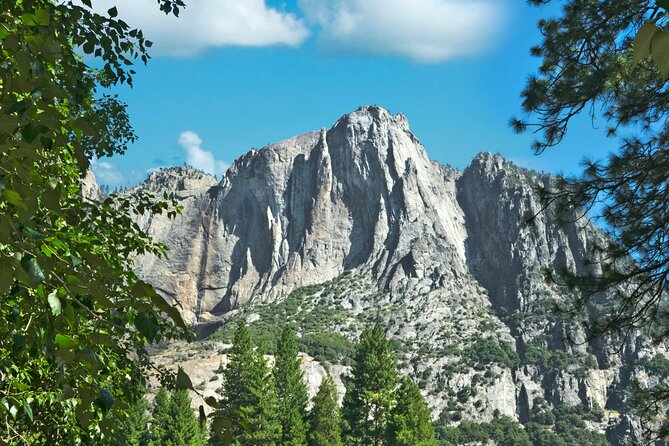 Yosemite Adventure: Full-Day Private Tour From San Francisco - Accessibility Features