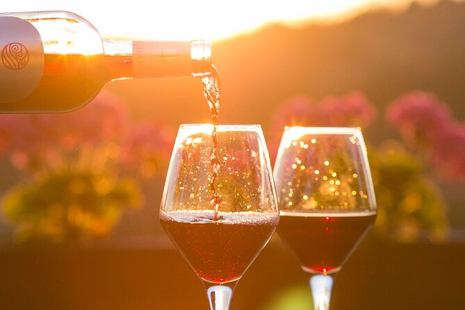 4-Hour Traverse City Sunset Wine Tour: 3 Wineries on Old Mission Peninsula - Good To Know