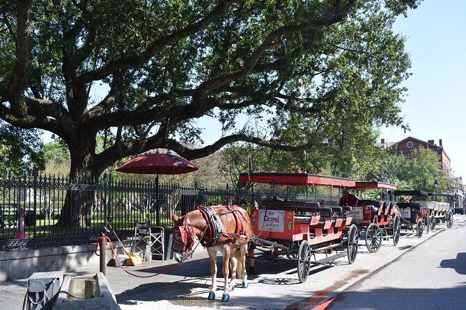 45 Minute Highlights Tour of the French Quarter - Good To Know