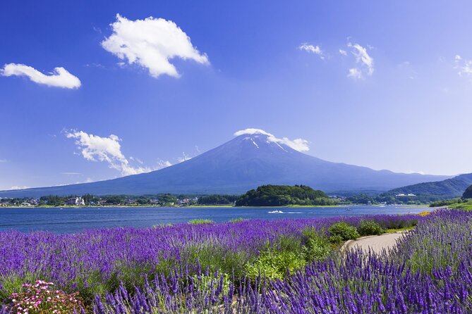 1 Day Private Tour Fuji FujiQ Kawaguchiko Pagoda - End Point