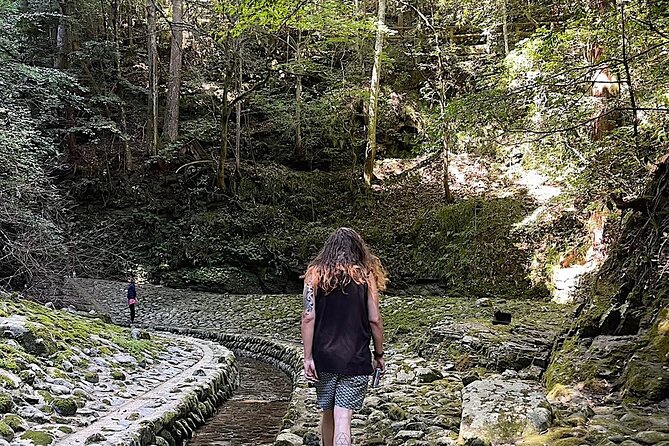 1 Day Yoshino Tour Get Out to the Cool of the Countryside - Getting to Yoshino