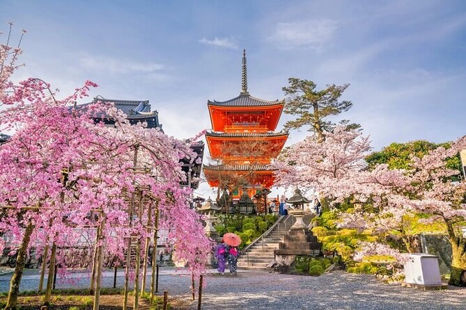 10 Hour Private Customizable Tour to Kyoto From Osaka - Experiencing Kyotos Highlights