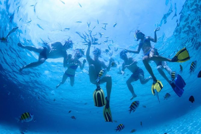 2.5 Hour Xpress Snorkel From Ka'Anapali Beach - Additional Information & Restrictions