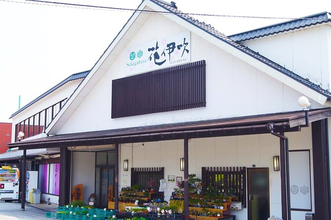 2-Day Bus Tour to Shirakawago & Hida No Sato Winter Illumination - Day 1: Shirakawago Exploration