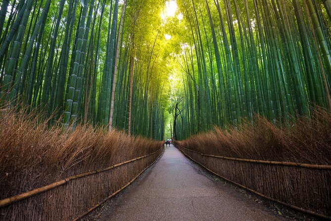 2 Day Kyoto and Nara Tour From Tokyo - Accessibility and Participation