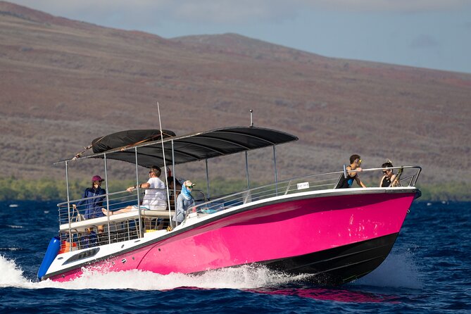 2 Hour Afternoon Lahaina Whale Watch - Accessibility Considerations