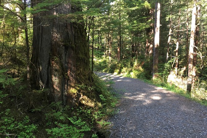 2 Hour Alaska Rainforest Walk and Totem Park Small Group Tour - Guide Expertise and Feedback
