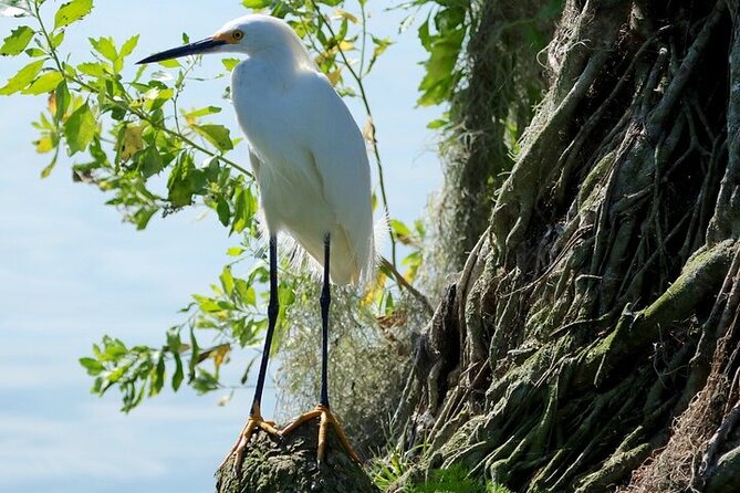 2 Hour Historical Wildlife Tour of the Chain of Lakes - Cancellation Policy