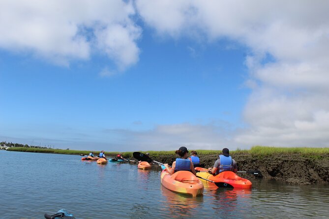 2-Hour Kayak Rental in Cape May per Person - Customer Reviews and Ratings