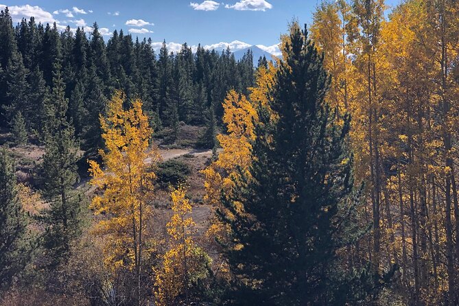 2-Hour Mineral Belt Guided E-Bike Tour in Leadville - Pricing Details