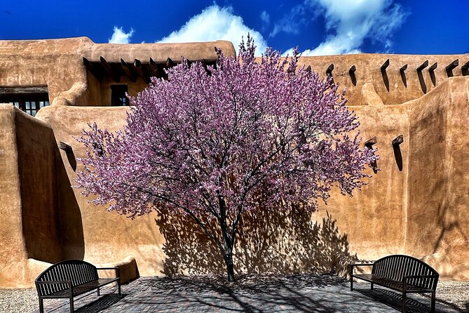 2-Hour Photography Class While Touring Downtown Santa Fe, Smart Phones Welcome! - Instructor Profile