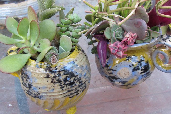 2- Hour Pottery Workshop and Studio Tour in Ojai - Pricing and Reviews