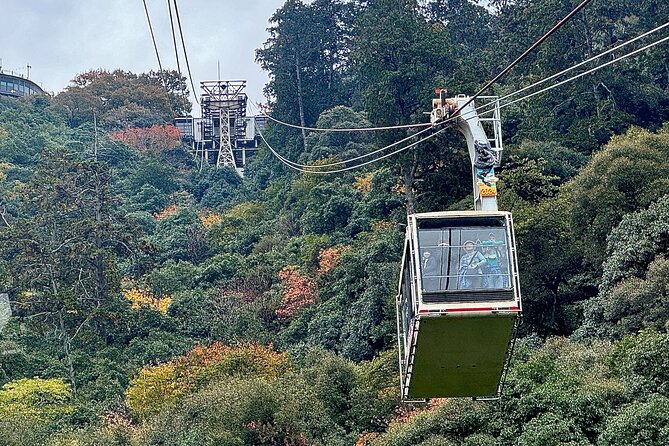 2 Hour Private Scenic Mountain Castle Tour in Gifu - Health and Accessibility