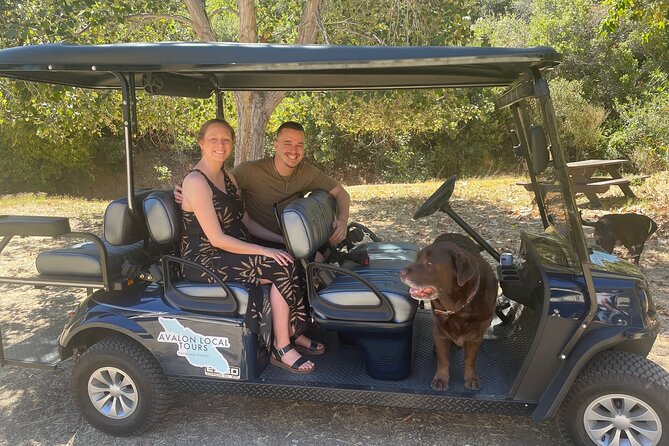 2 Hour Private Tour of Avalon - Scenic Views and Photo Opportunities