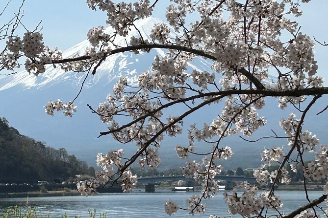 2DAYS 1NIGHT Private Tour, Tokyo~Nagano~Nagoya, 2-10 Guests - Booking Information