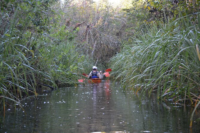2Hour Everglades Kayak Safari Adventure Through Mangrove Tunnels - Additional Information and Requirements