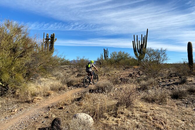 3 Hour Sonoran Desert Private Guided Mountain Bike Tour - Exploring the Sonoran Desert Landscape
