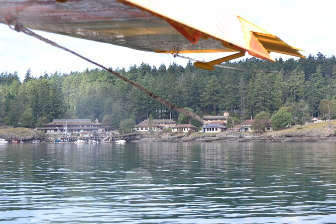 3 Hours San Juan Island Seaplane Tour From Seattle - Traveler Experiences and Reviews
