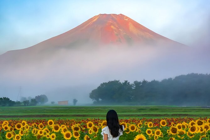 3 Perfect Days in Japan: Private Tokyo City, Mount Fuji & Kyoto - Taking in Mount Fujis Grandeur