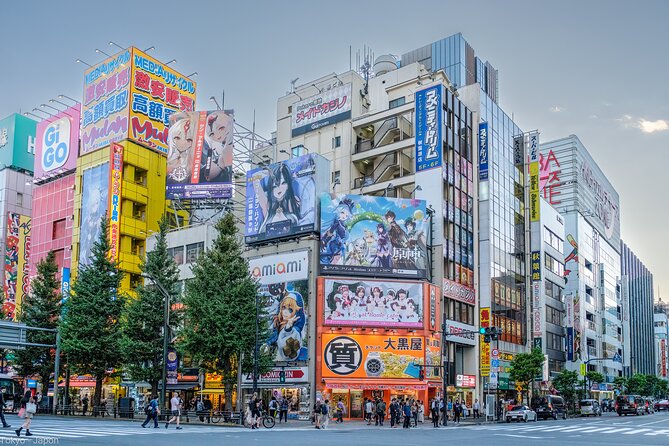 3 to 5 Hours Private Tour in Tokyo With Local Guide - Booking Information