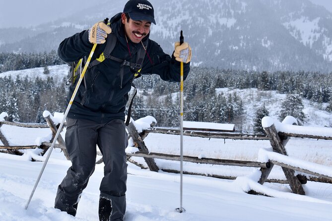 4 Hour Beginner Cross Country Skiing in Grand Teton - Customer Reviews and Experiences