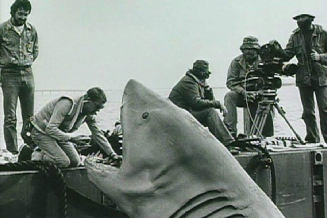 4 Hours Hop-On Hop-Off Jawsome Jaws Tour - Tips for a Great Tour Experience