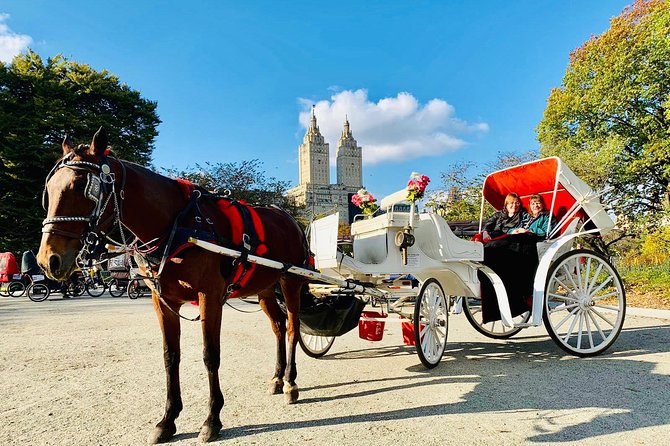 45 Minute VIP Central Park Carriage Ride - Accessibility Features