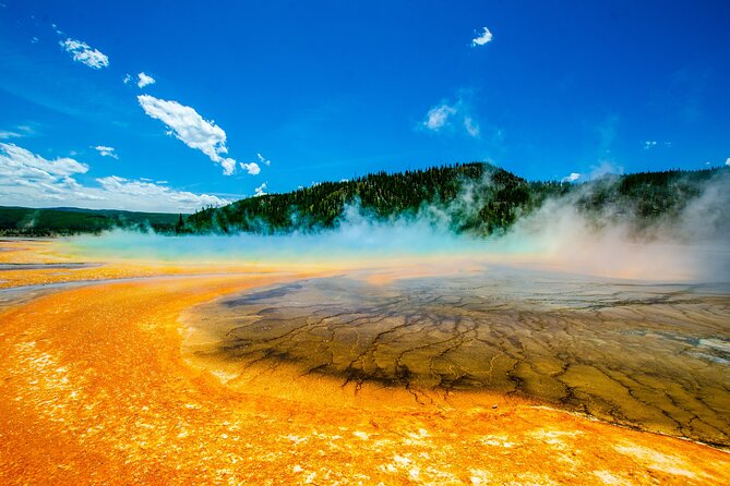 5 Person Full Day PRIVATE Yellowstone Tour- Picnic, Binoculars, Scope, Huge Van - Wildlife Viewing With Optics