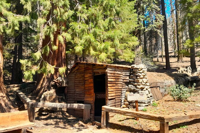 5 Star Rated Sequoia National Park Tour - Highlights of the Sequoia Experience
