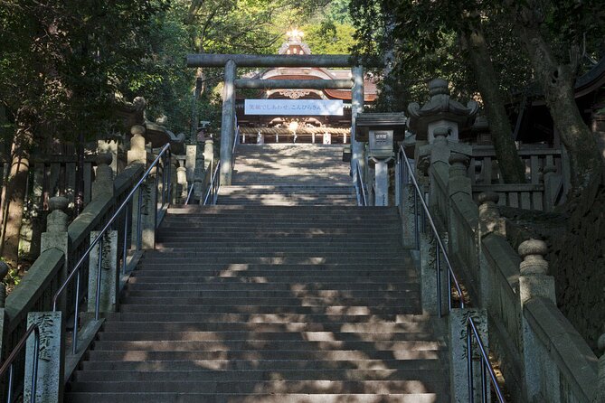 8 Day Private One Way Bus Tour to Fukuoka From Osaka - Dogo Onsen: Days 5 & 6